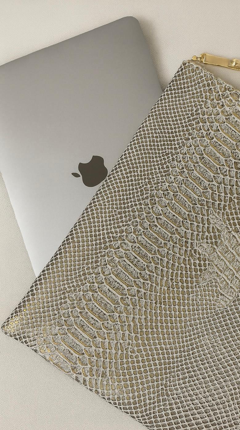 Pochette CLASSY PRO